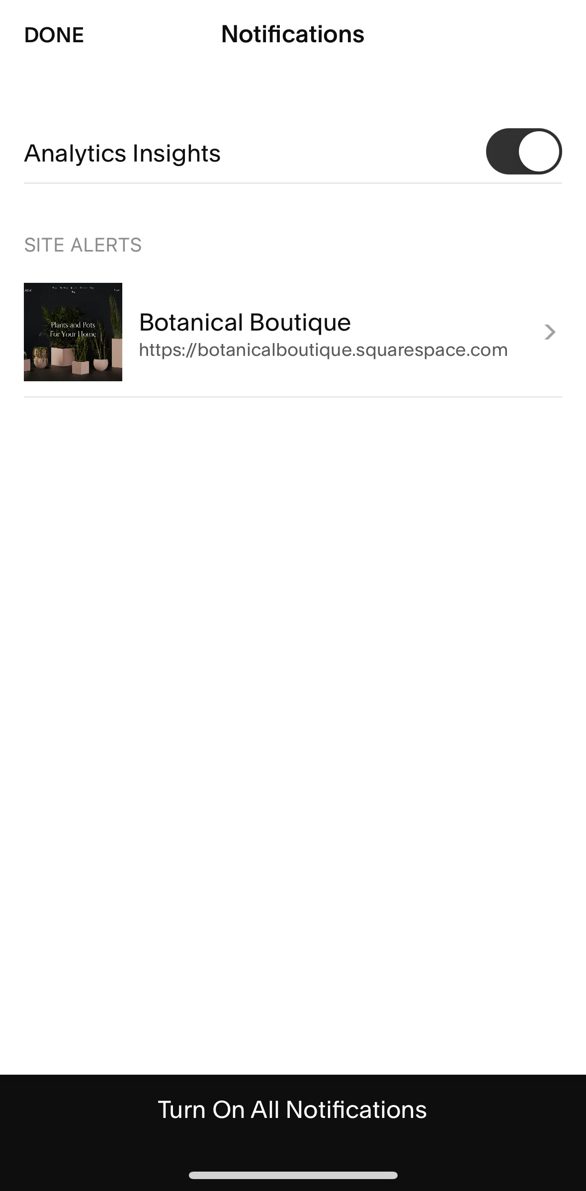 Squarespace Screen screen in the Updating notifications flow