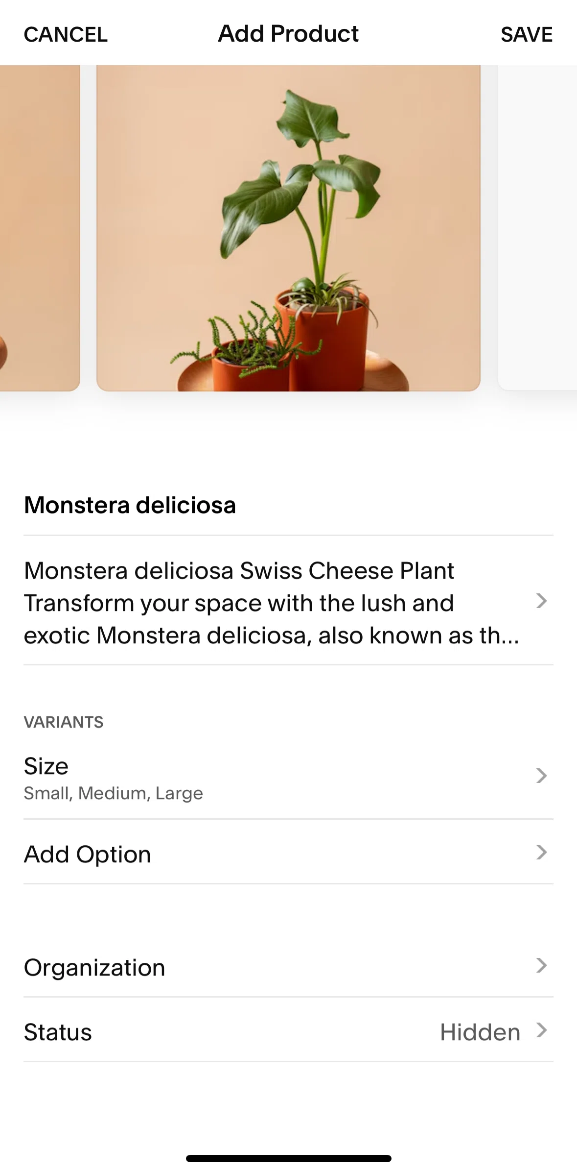 Squarespace Screen screen in the Variants flow