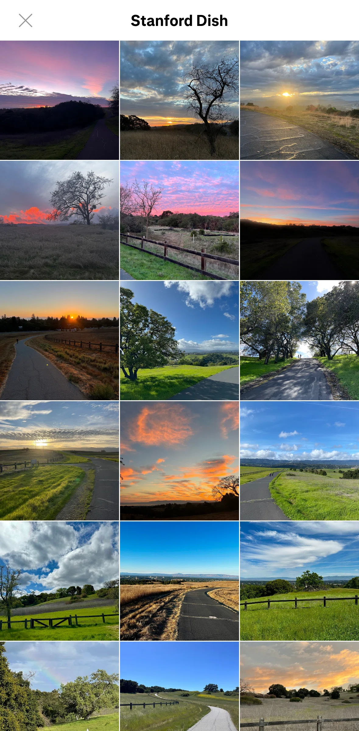 Strava Screen screen in the Giving feedback (photos) flow