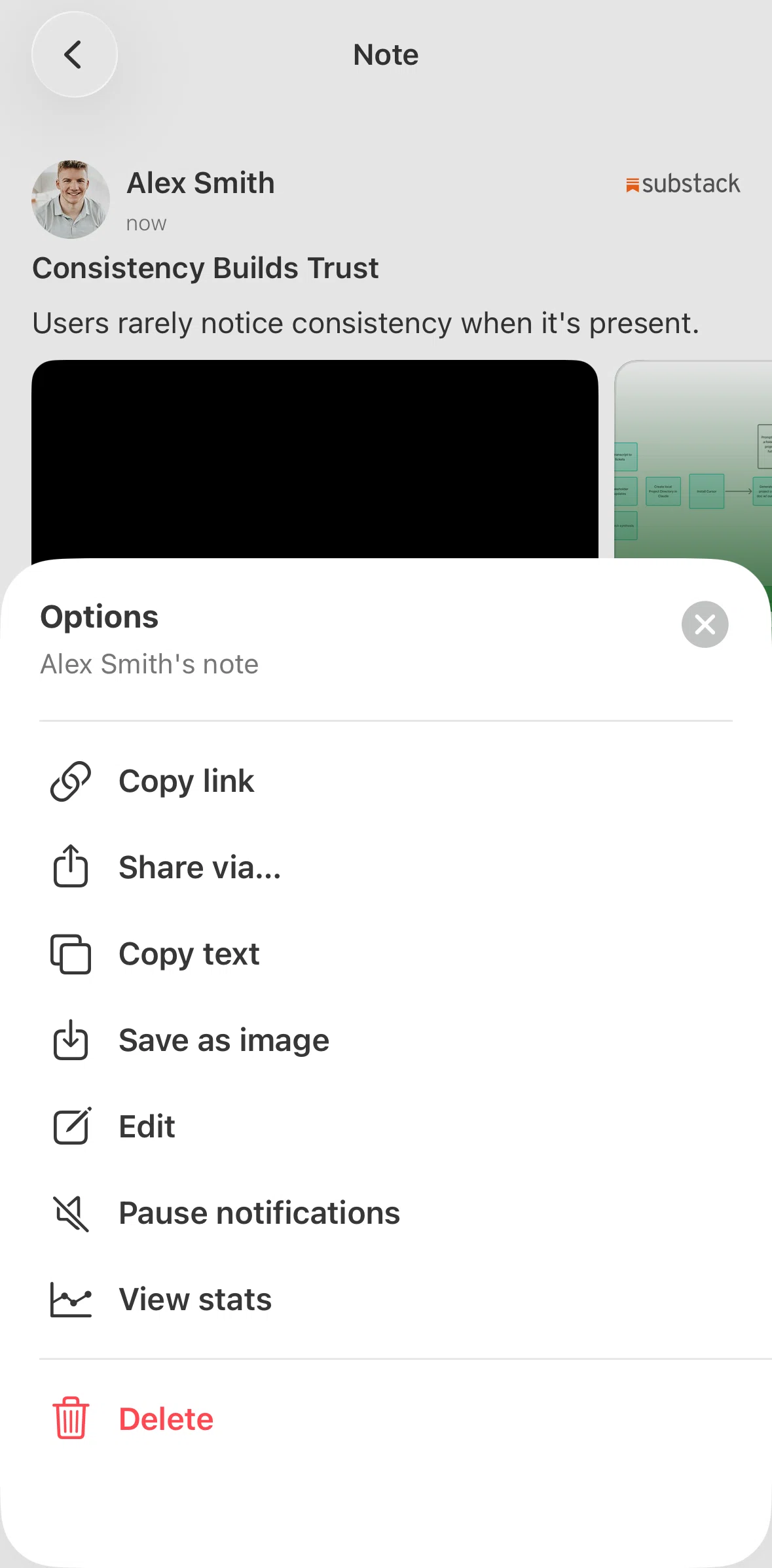 Substack Screen screen in the Pausing notifications flow