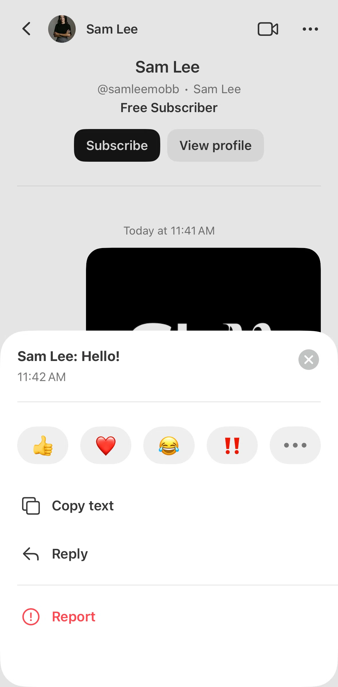 Substack Screen screen in the Replying to a message flow
