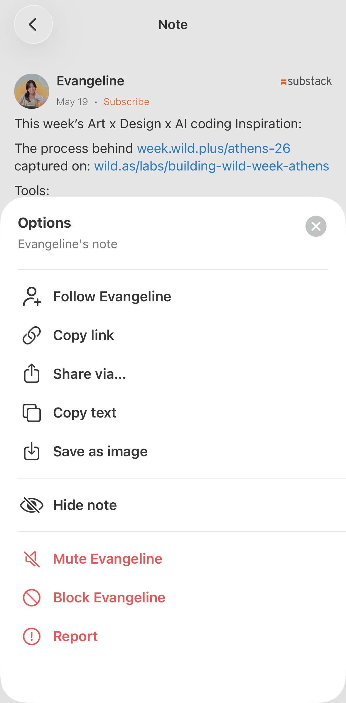 Substack Screen screen in the Reporting a note flow