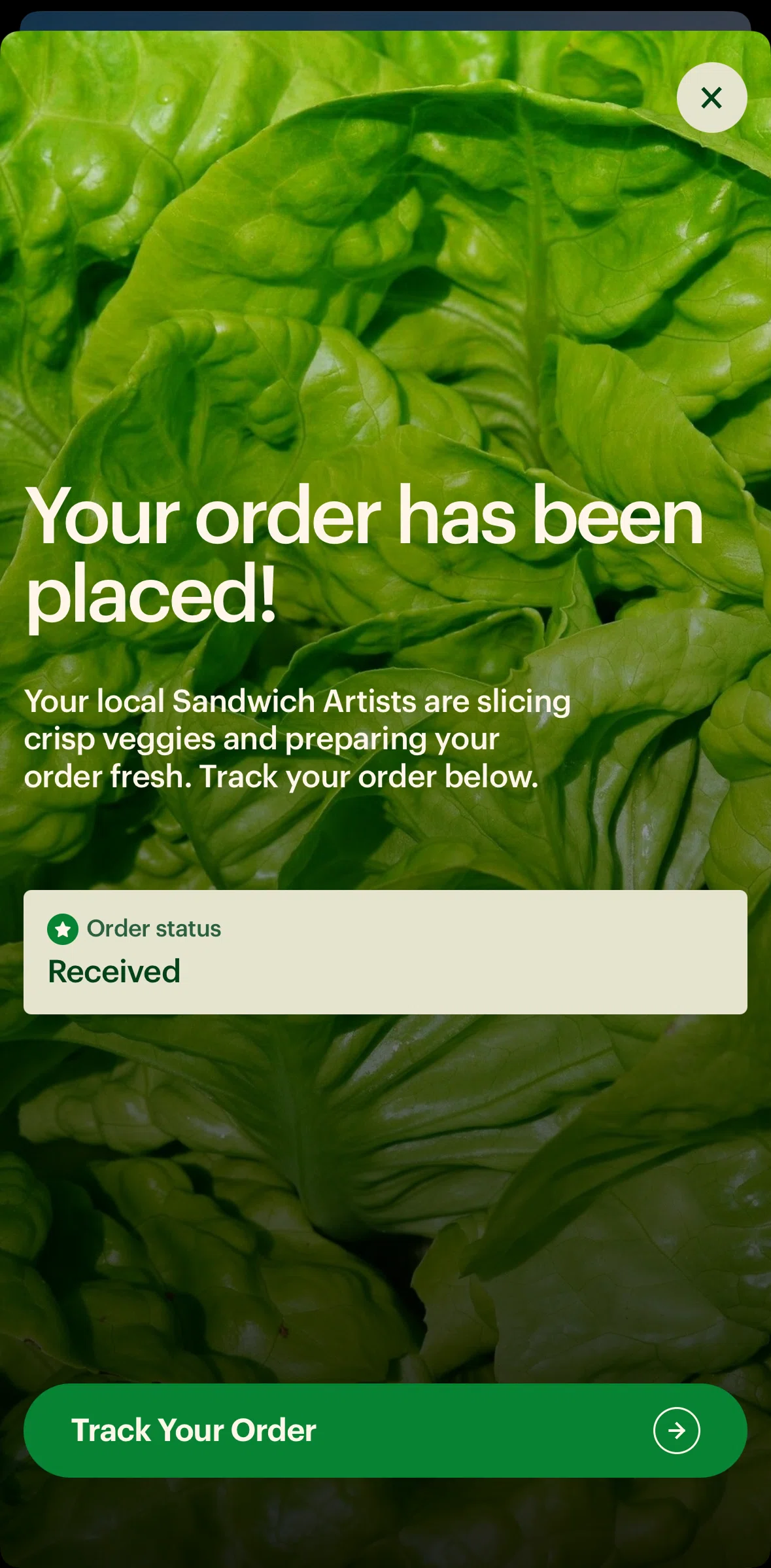 Subway Screen screen in the Tracking an order flow