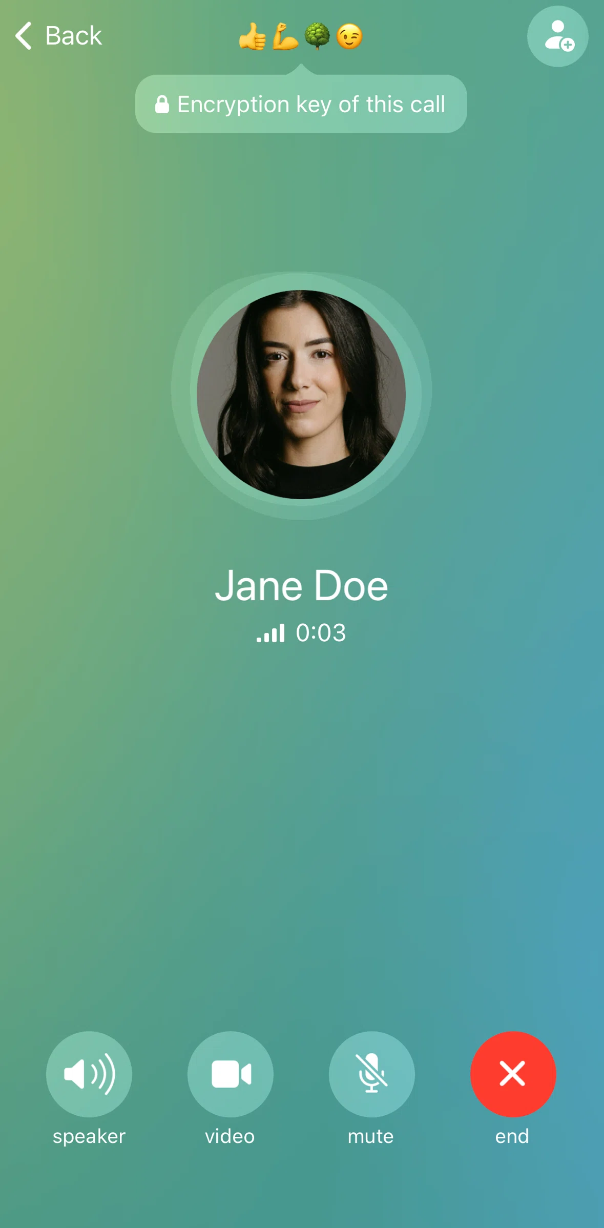 Telegram Screen screen in the Group call flow