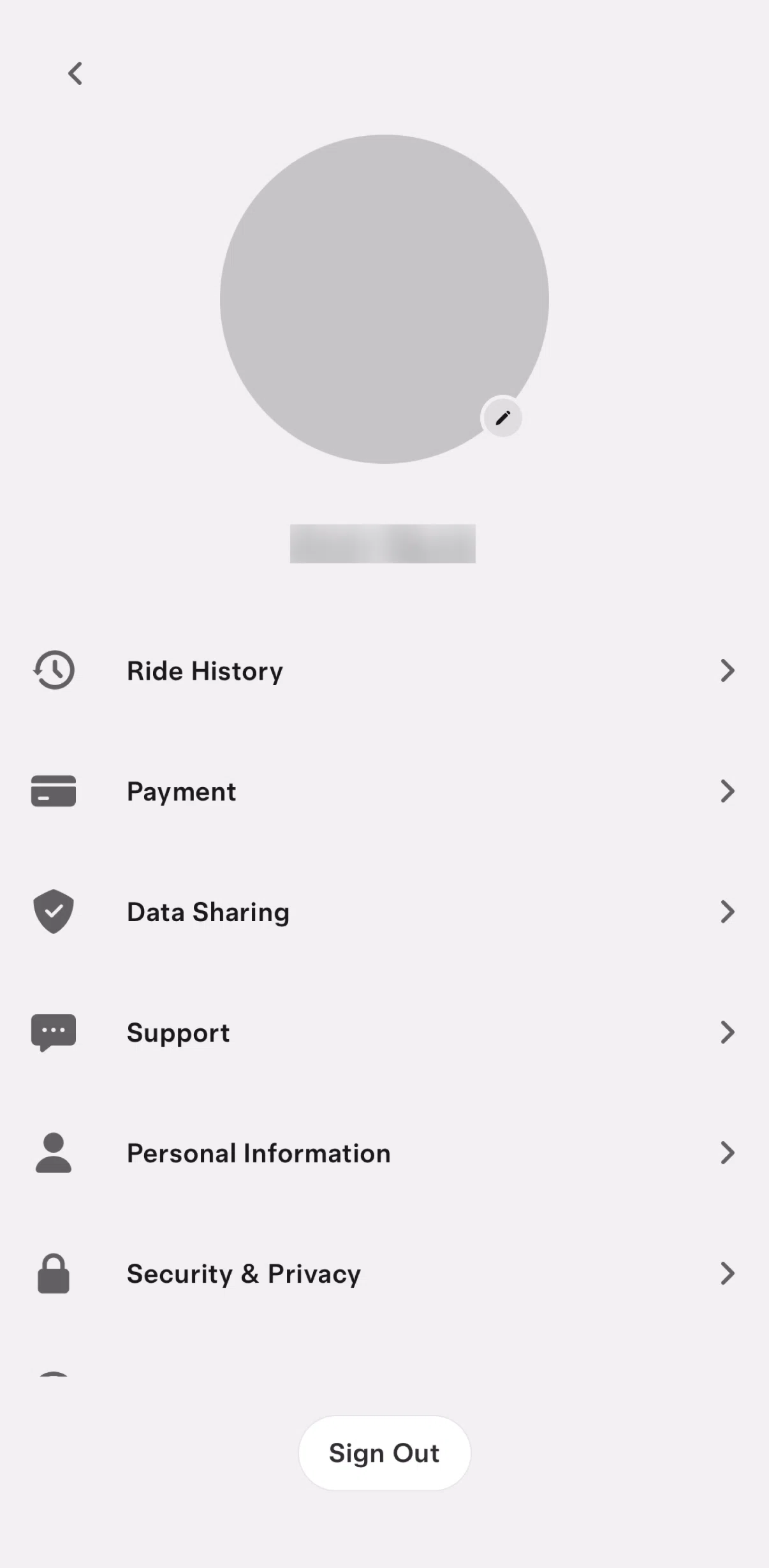 Tesla Robotaxi Screen screen in the Adding a payment method flow