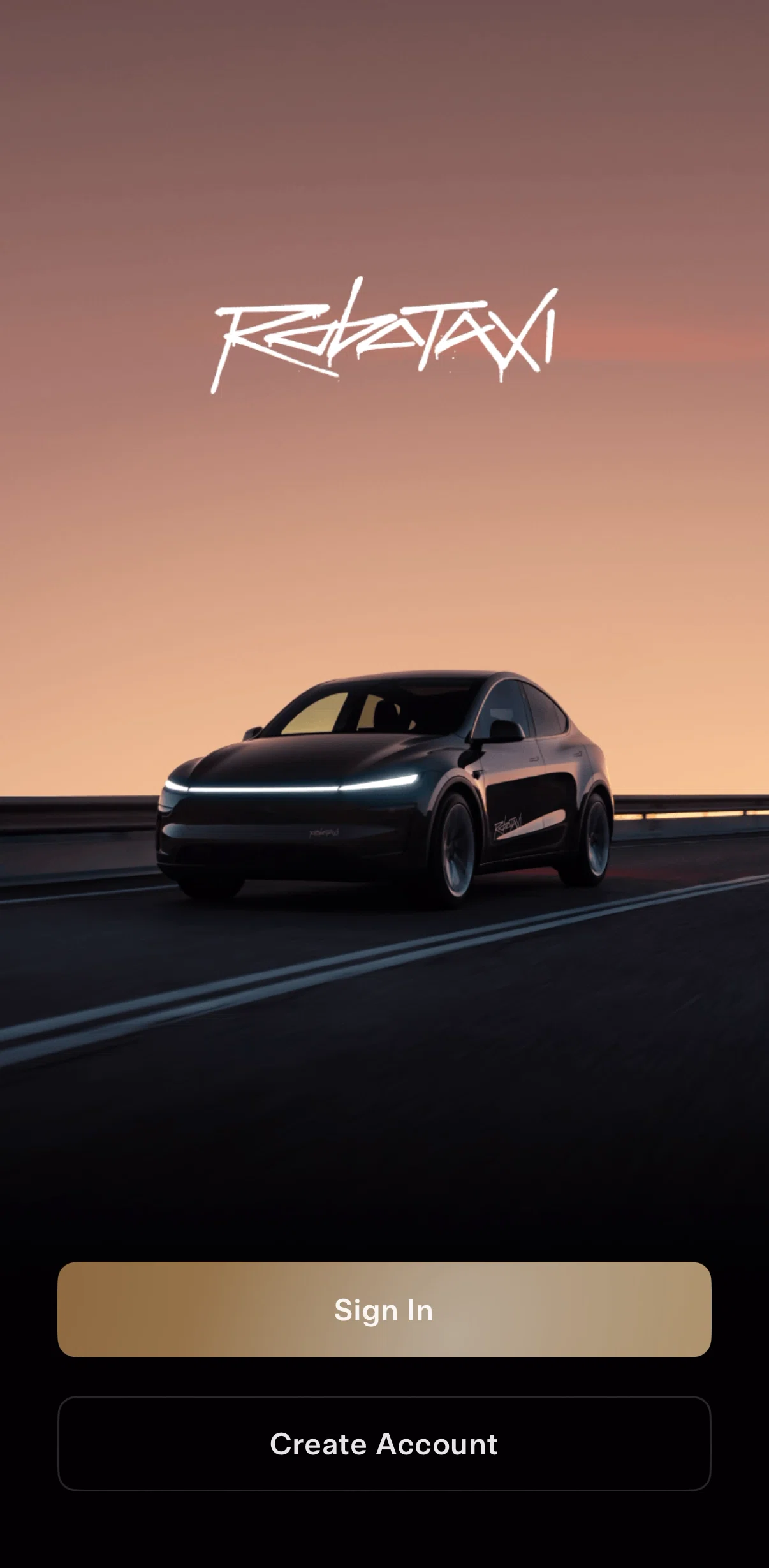 Tesla Robotaxi Screen screen in the Onboarding flow