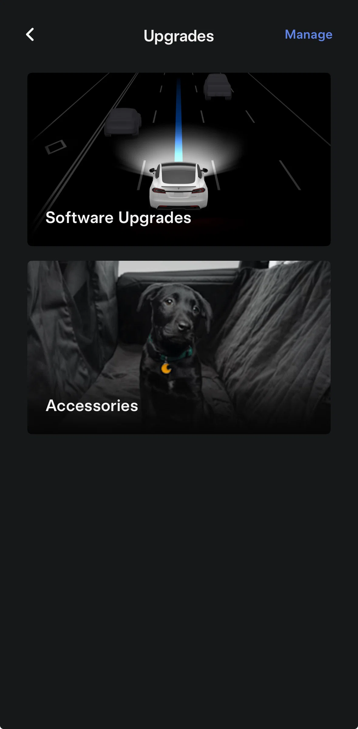 Tesla Screen screen in the Accessories flow