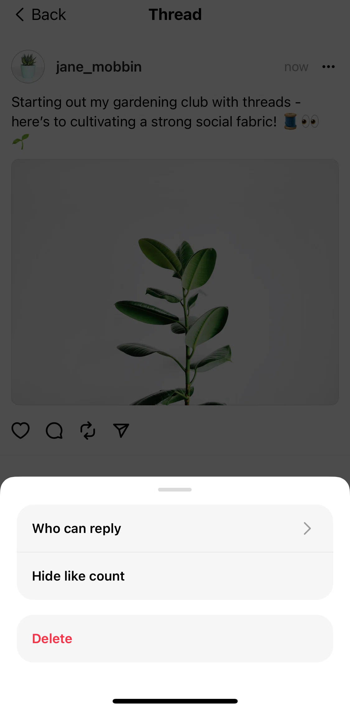 Threads Screen screen in the Deleting a post flow