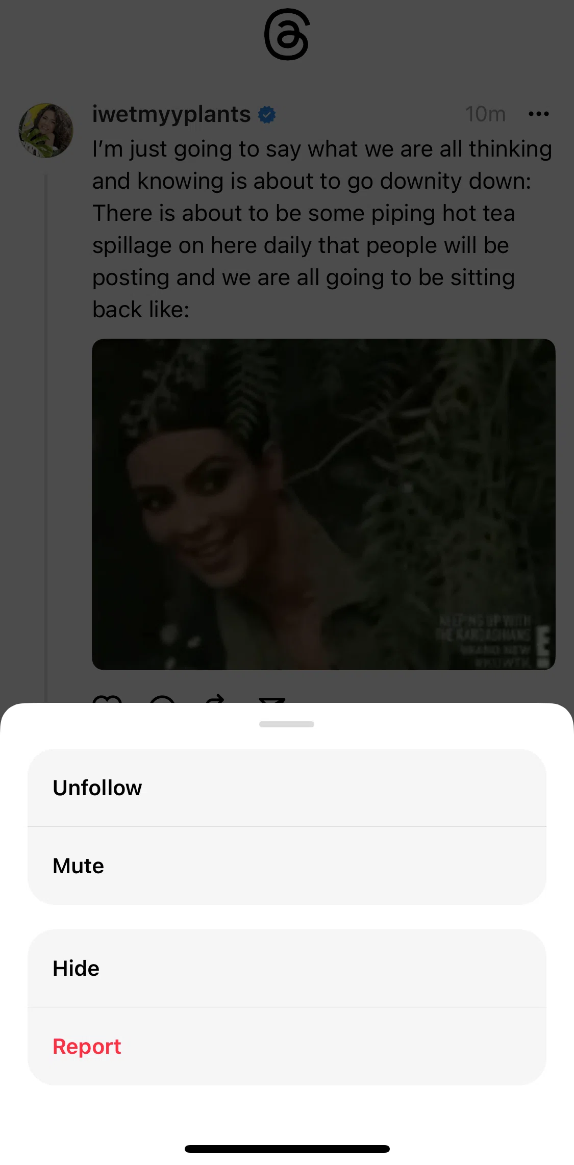 Threads Screen screen in the Reporting a thread flow