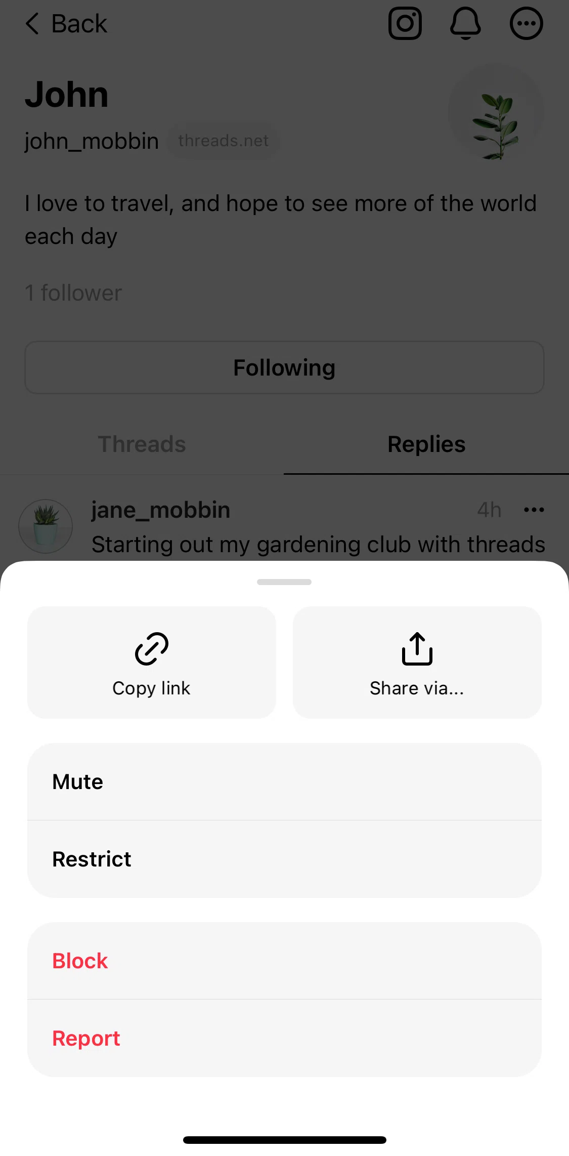 Threads Screen screen in the Reporting a user flow