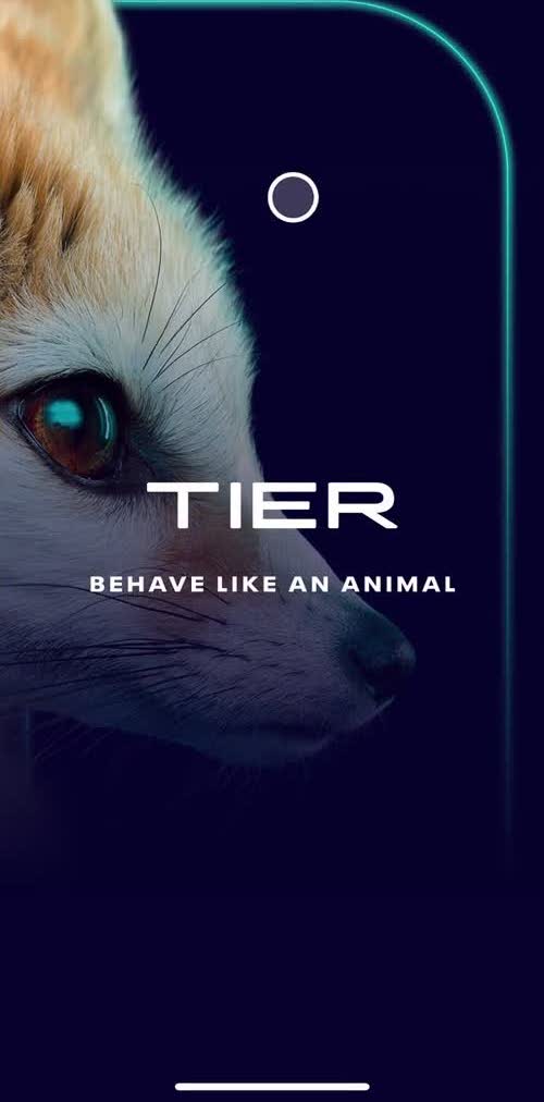 Tier Splash screen screen in the Onboarding flow