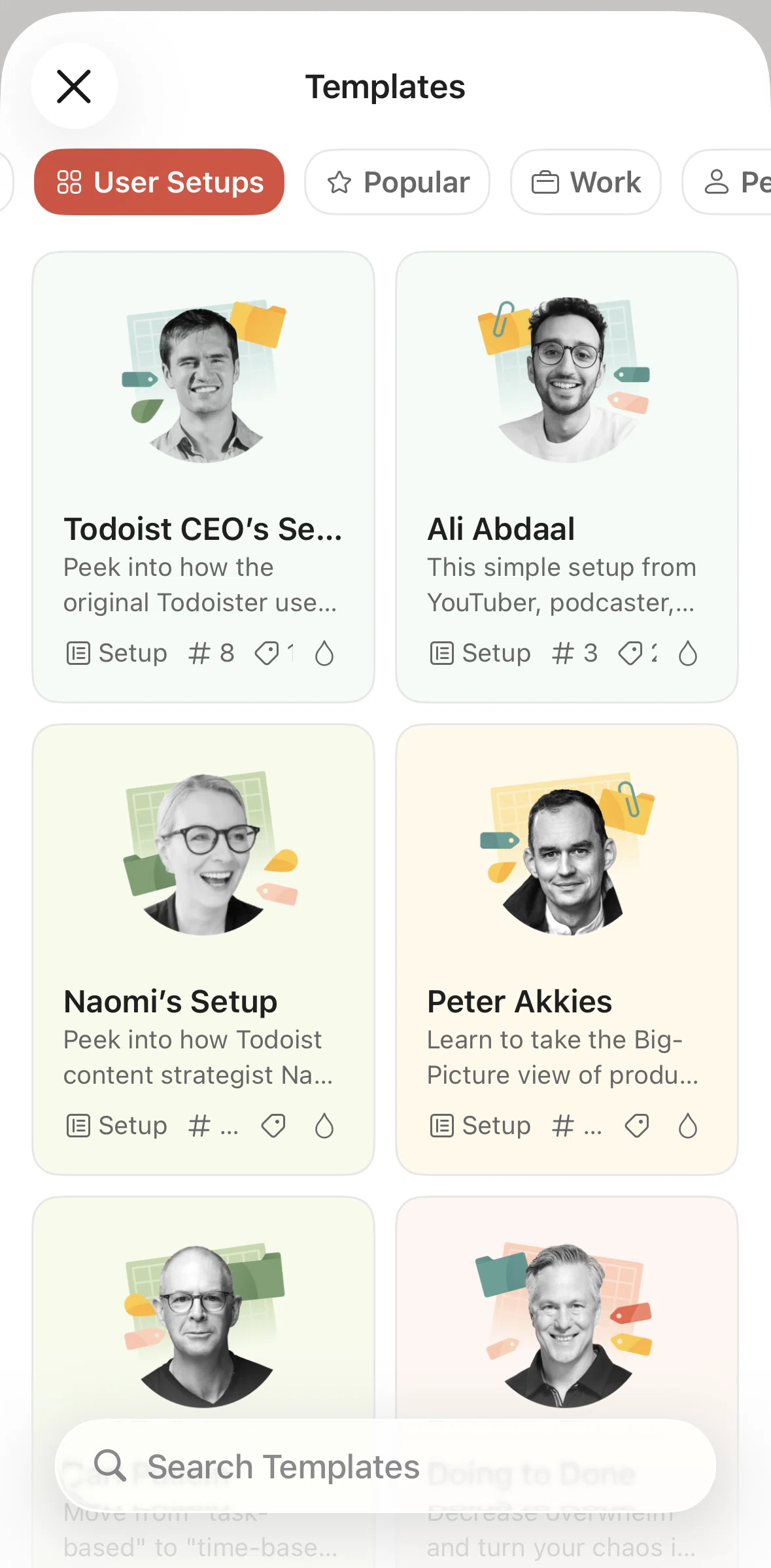 Todoist Screen screen in the Setup detail flow