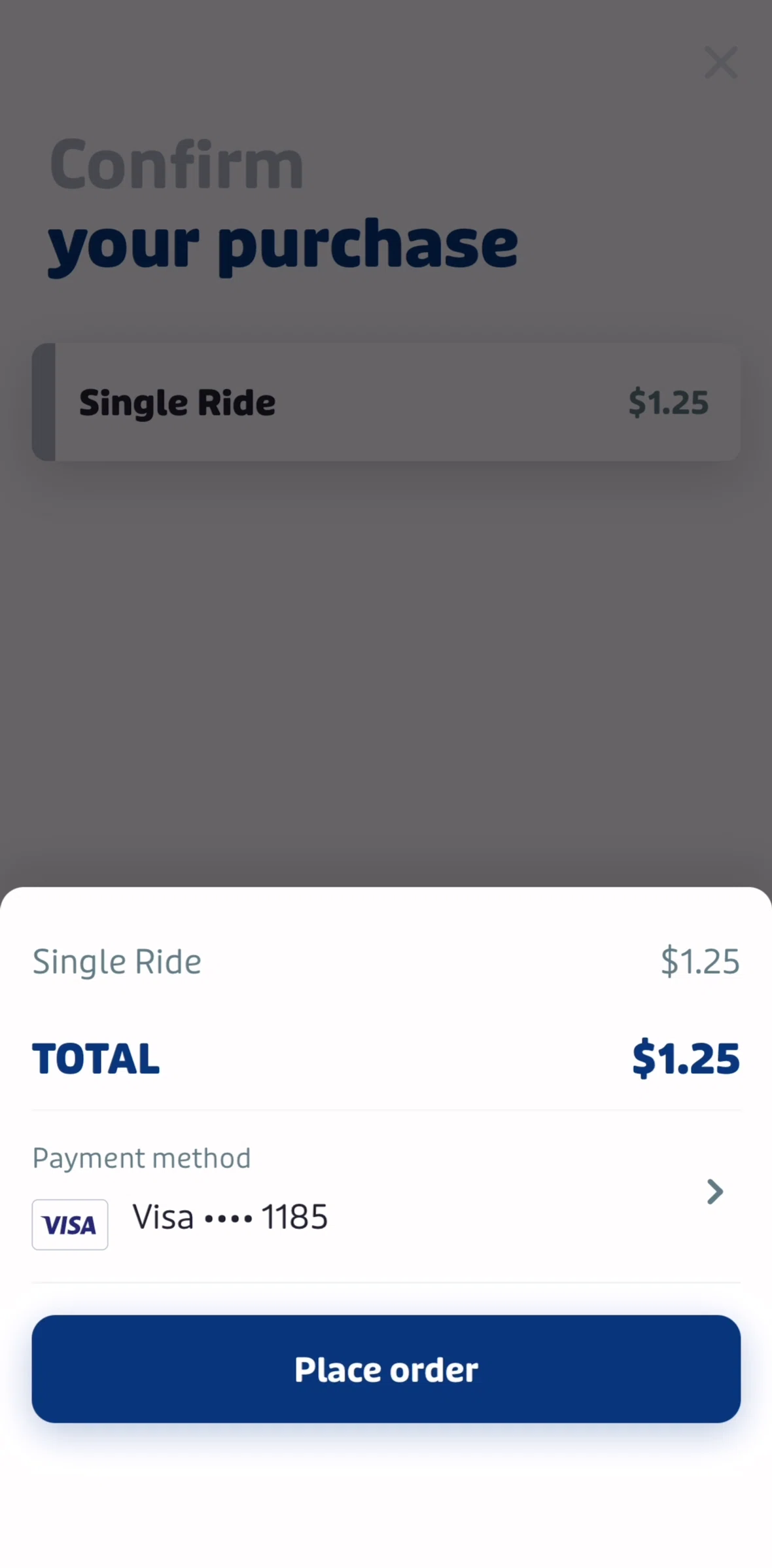 Transit Screen screen in the Changing a payment method flow