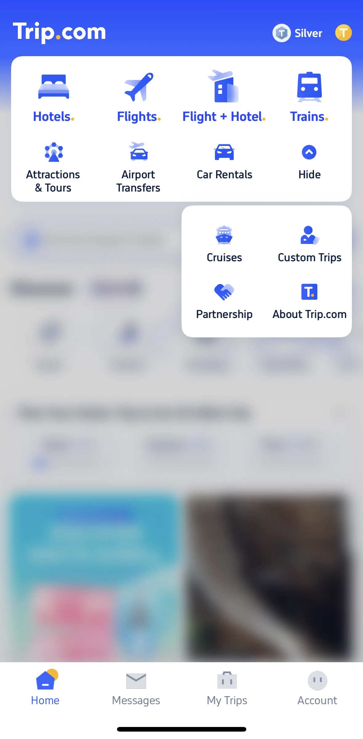 Trip.com Screen screen in the About Trip.com flow