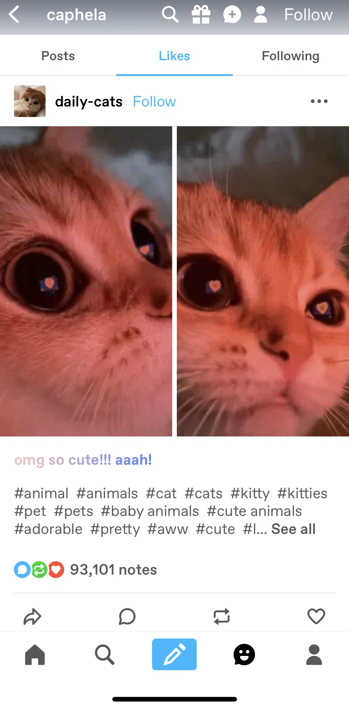 Tumblr Screen screen in the Commenting on a post flow