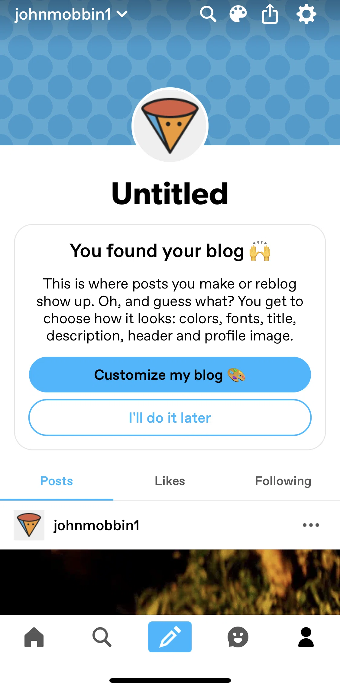 Tumblr Screen screen in the Customising blog flow