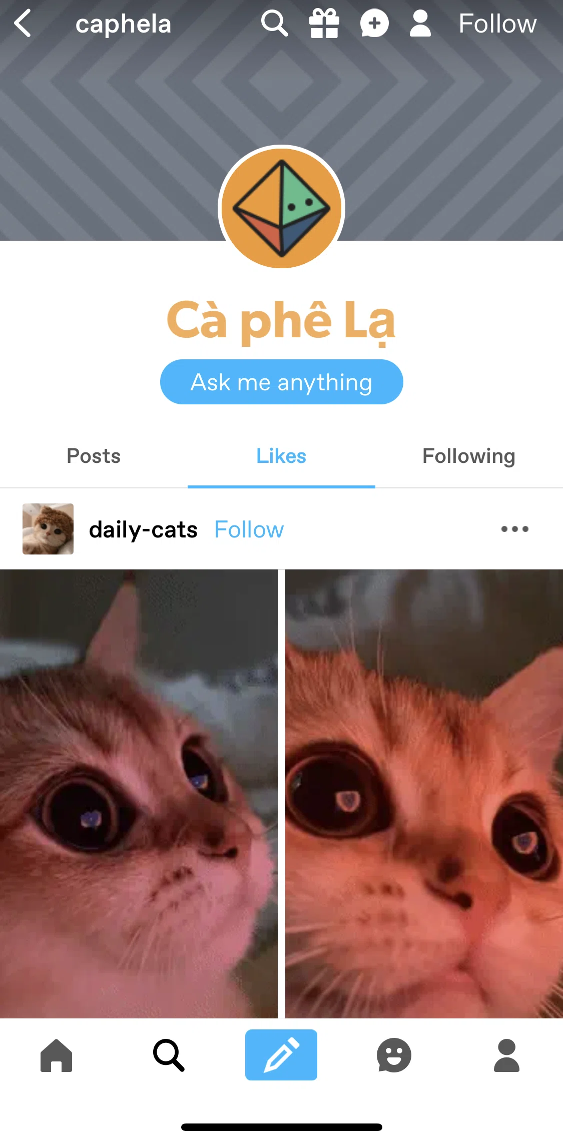 Tumblr Screen screen in the Likes flow
