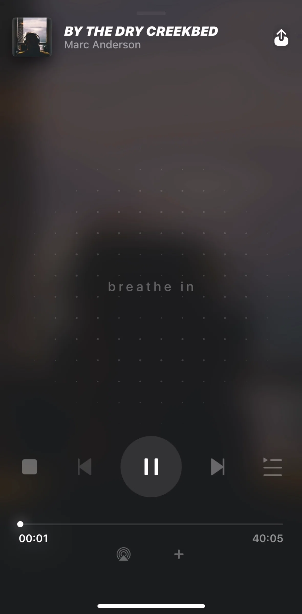 Ultrahuman Screen screen in the Playlist queue flow