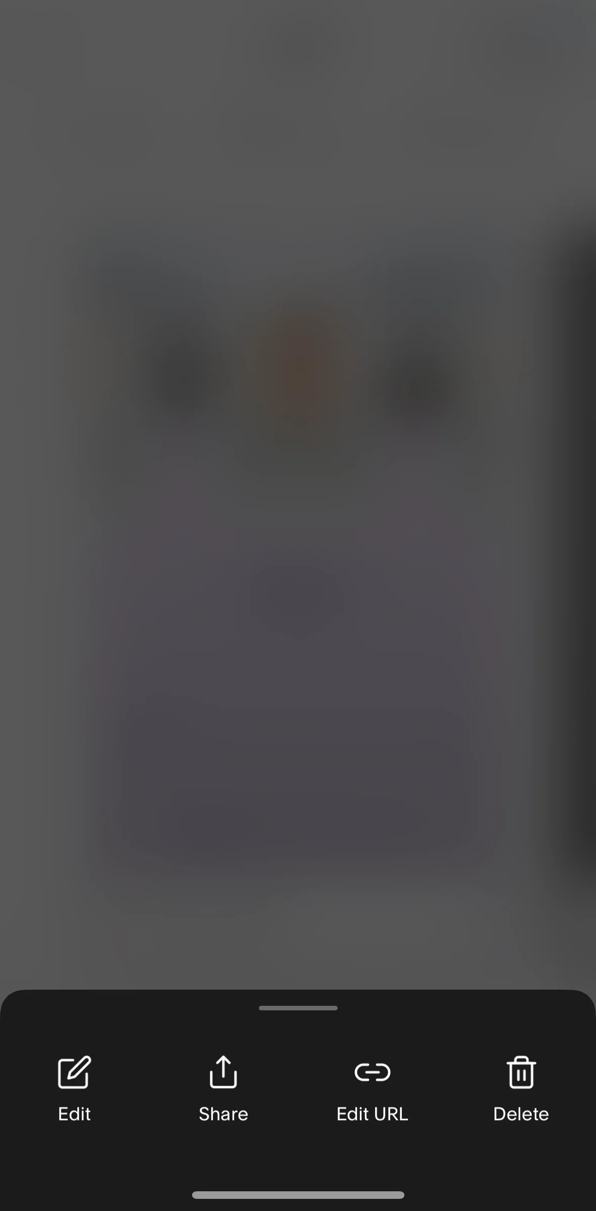 Unfold Screen screen in the Editing a URL flow
