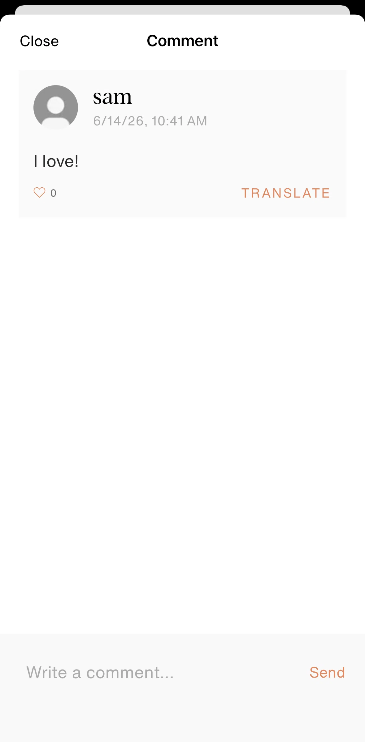 Vestiaire Collective Screen screen in the Translating a comment flow