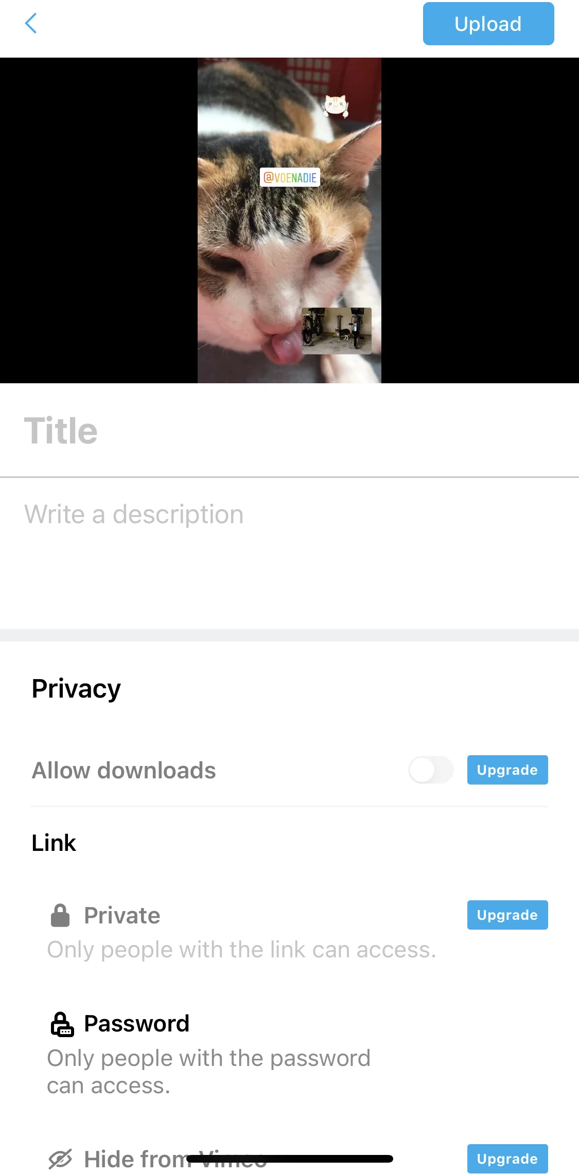 Vimeo Screen screen in the Subscribing to Vimeo Plus flow