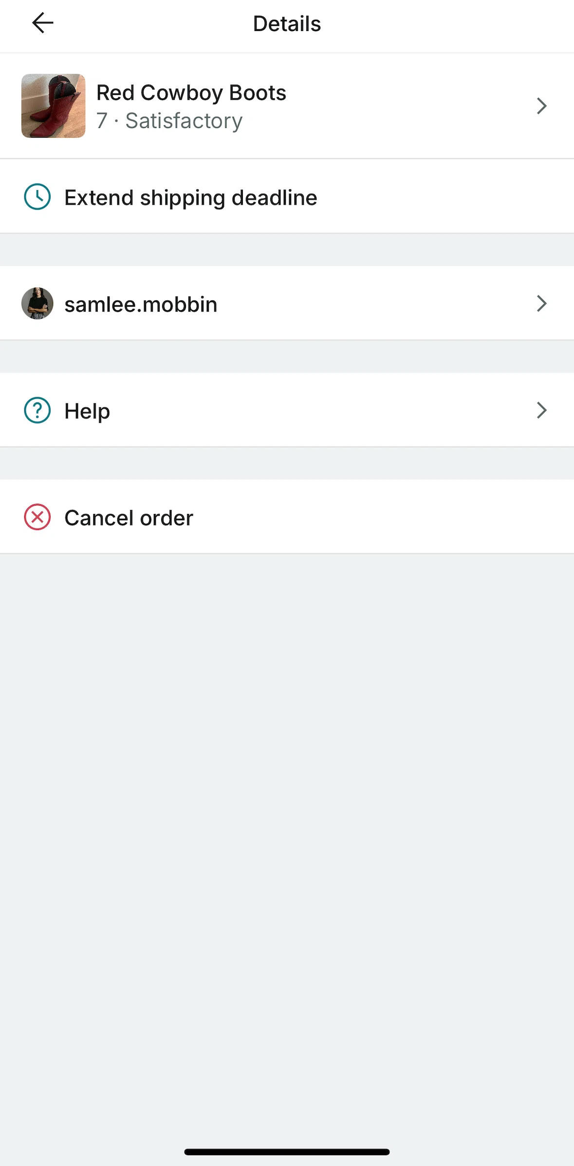 Vinted Screen screen in the Extending a shipment deadline flow