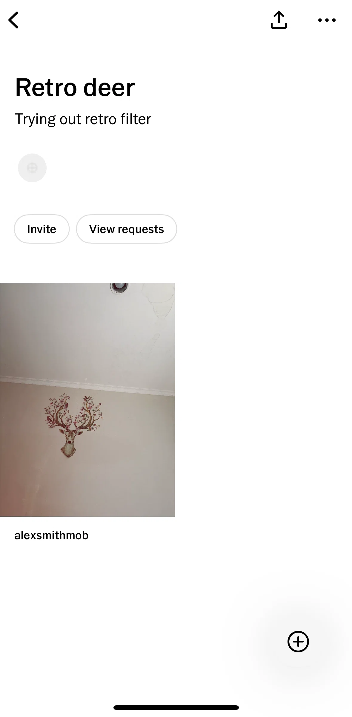 Vsco Screen screen in the Add to space flow