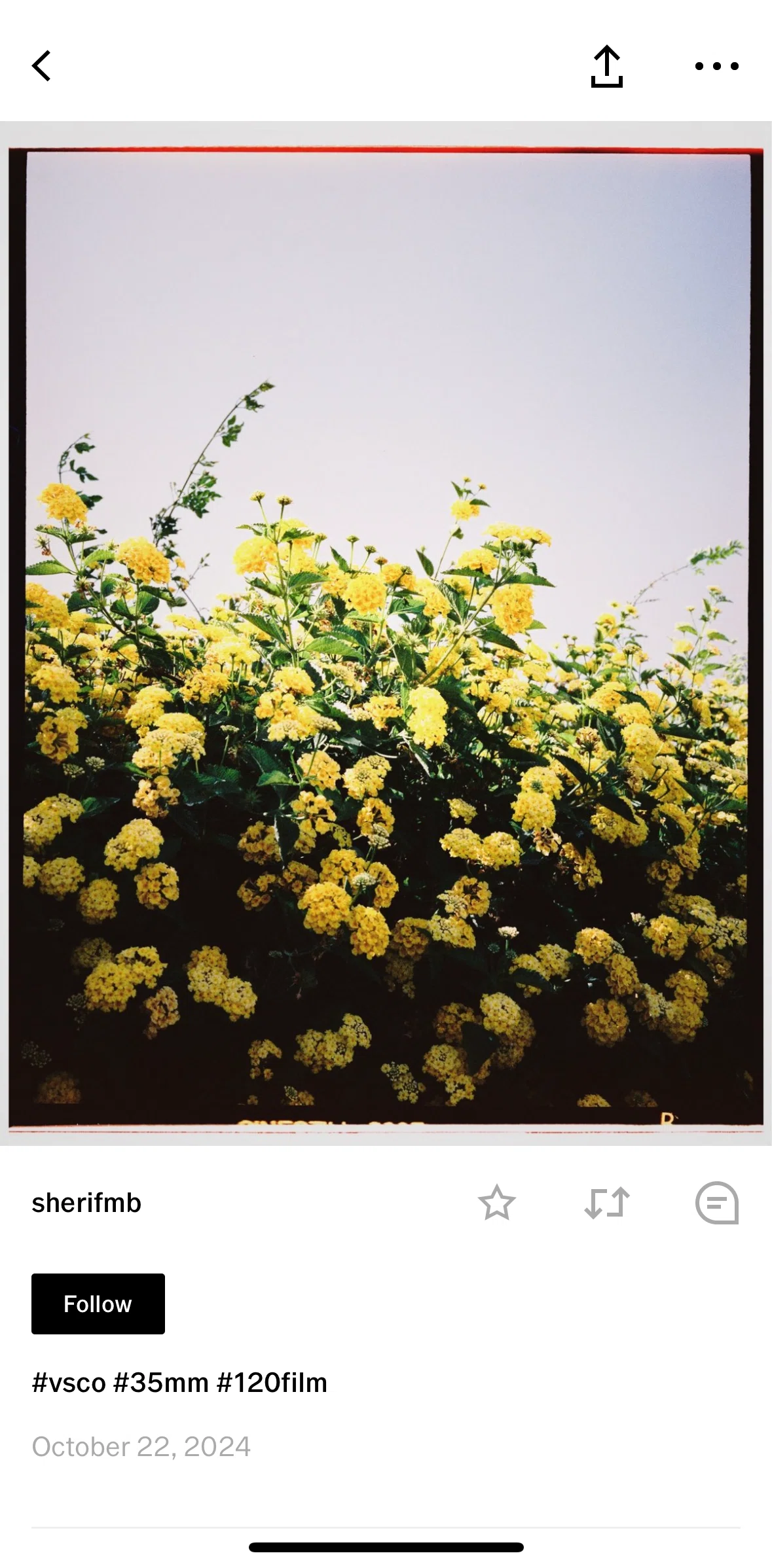 Vsco Screen screen in the Copying a link flow