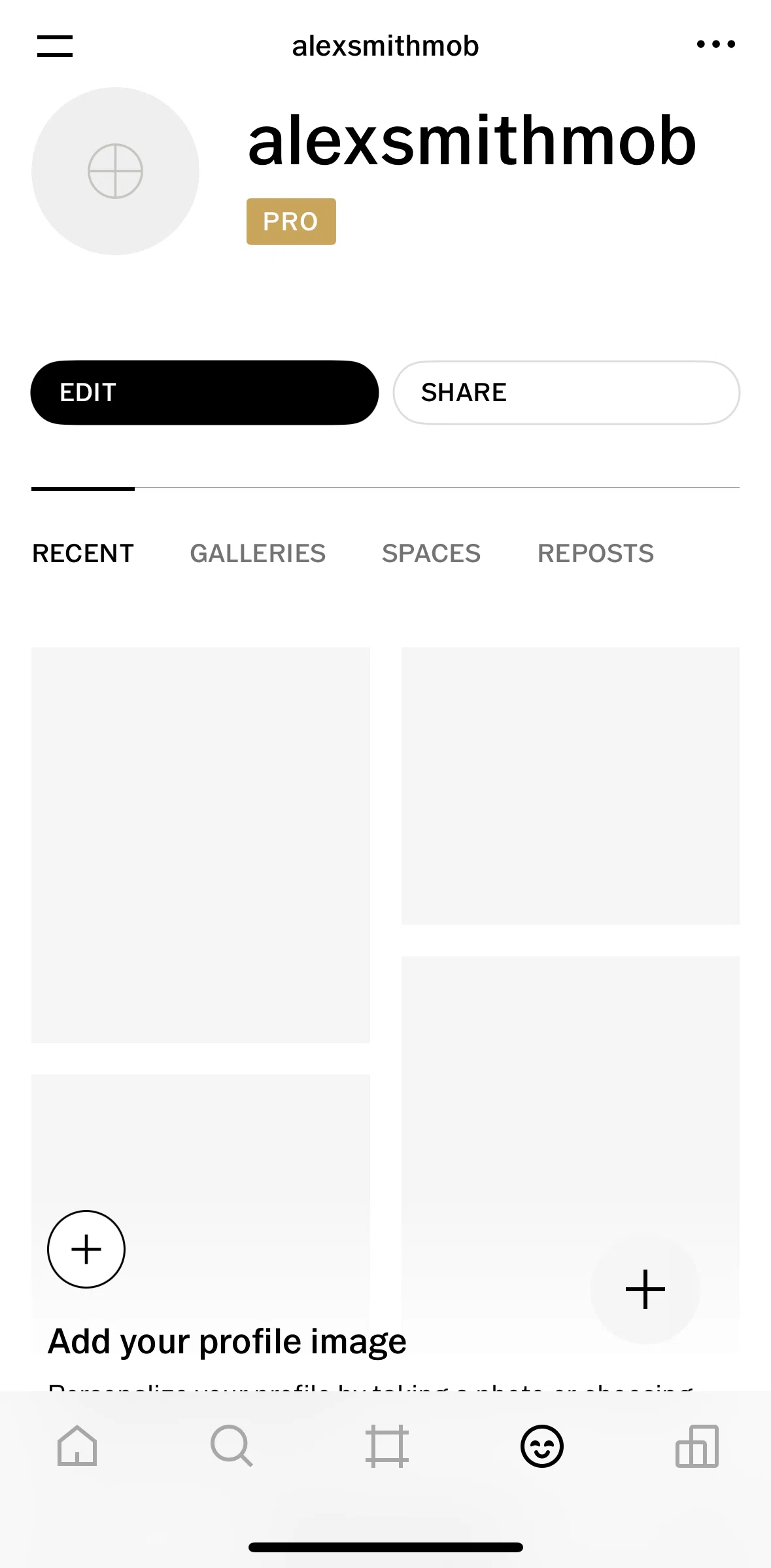 Vsco Screen screen in the Editing profile flow