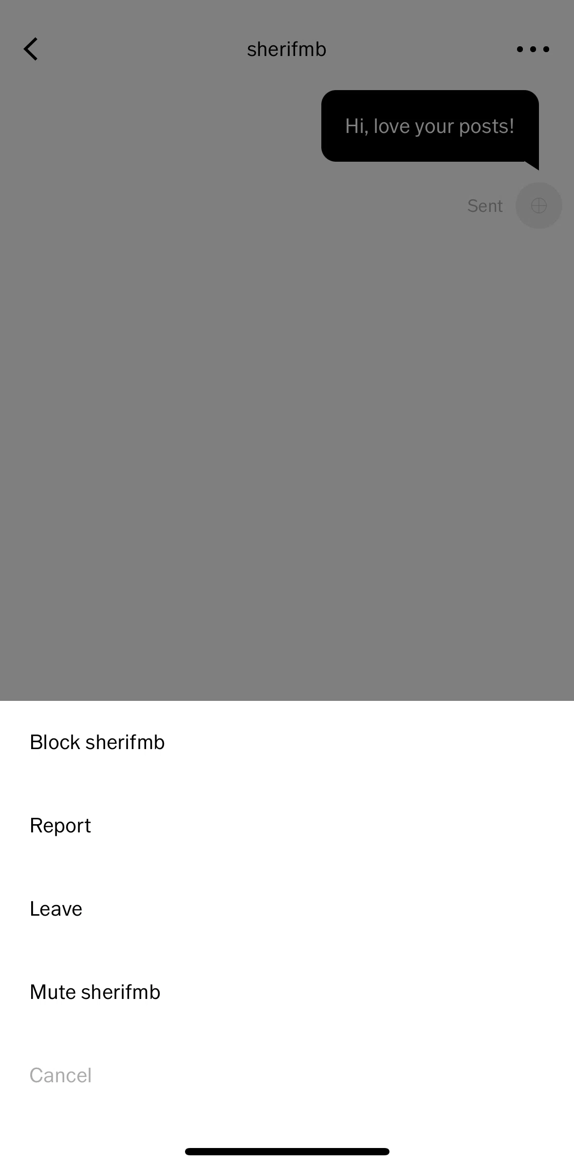 Vsco Screen screen in the Leaving a message thread flow