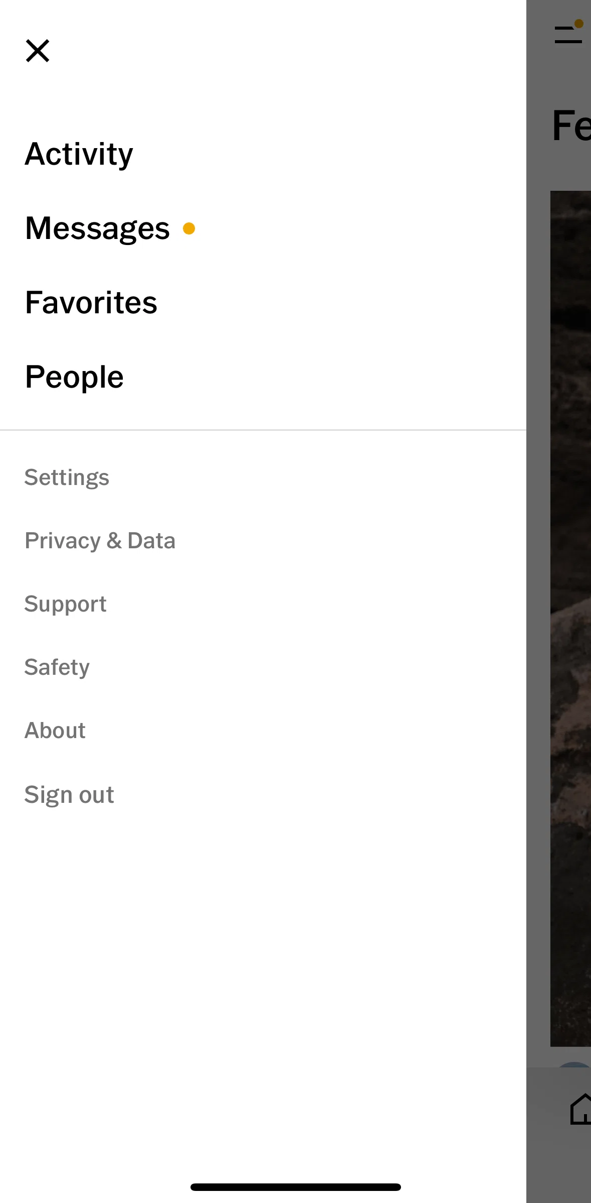 Vsco Screen screen in the Messages flow