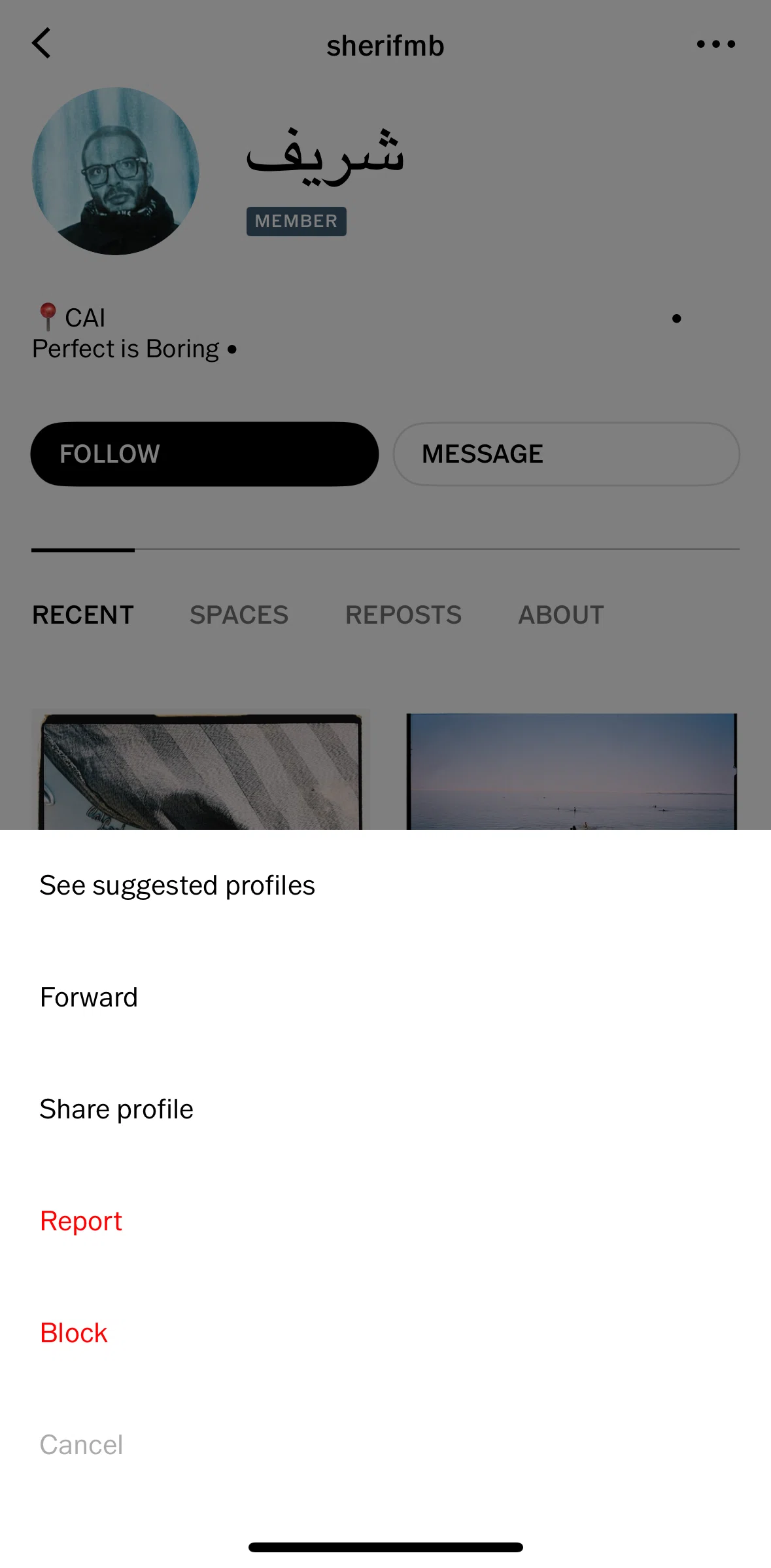 Vsco Screen screen in the Reporting a user flow