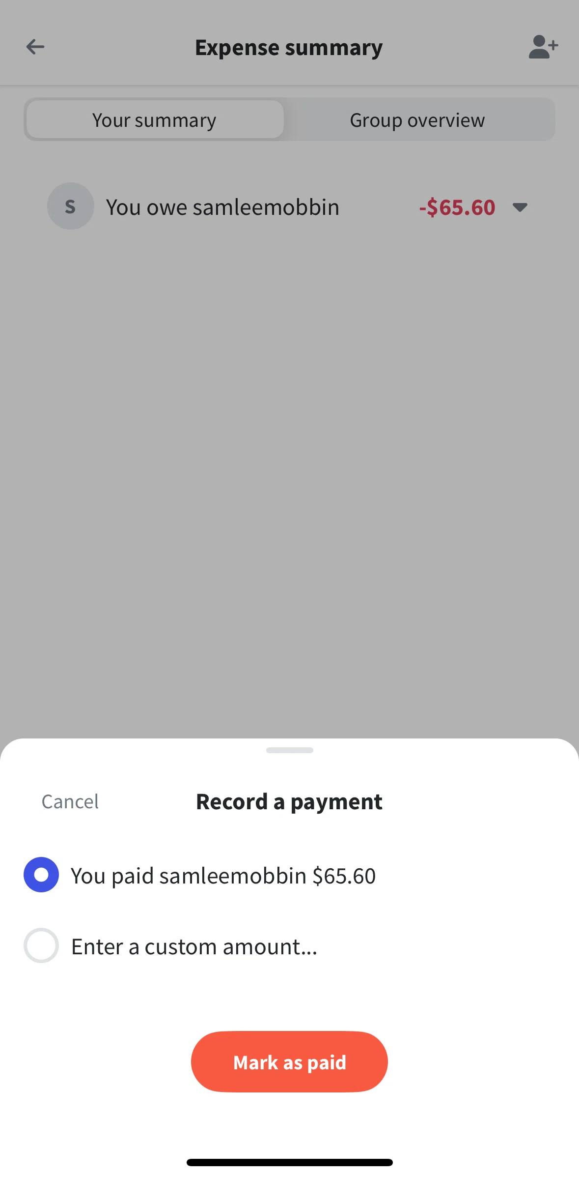 Wanderlog Screen screen in the Marking an expense as paid (custom amount) flow