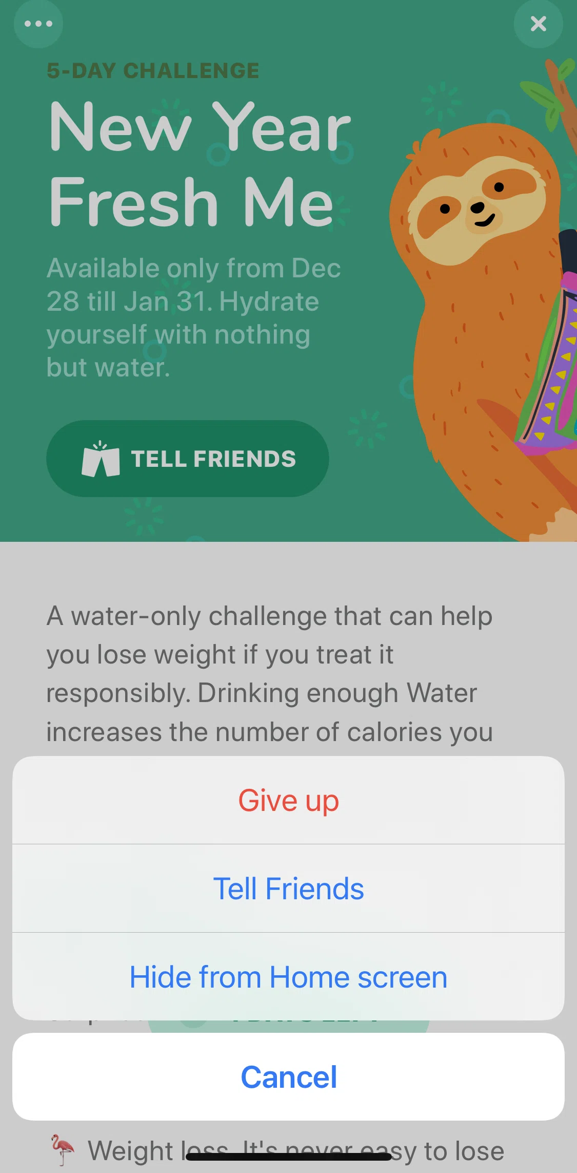 Waterllama Screen screen in the Hiding challenge from home screen flow