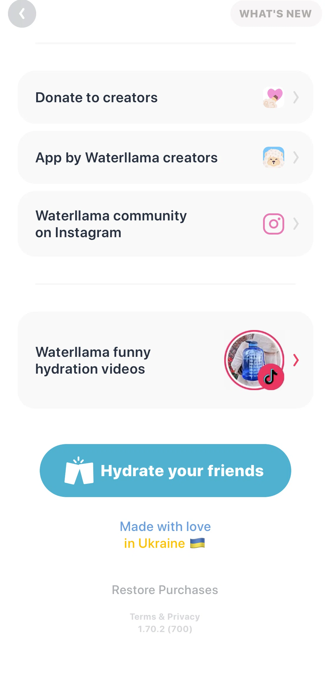 Waterllama Screen screen in the Terms and privacy flow