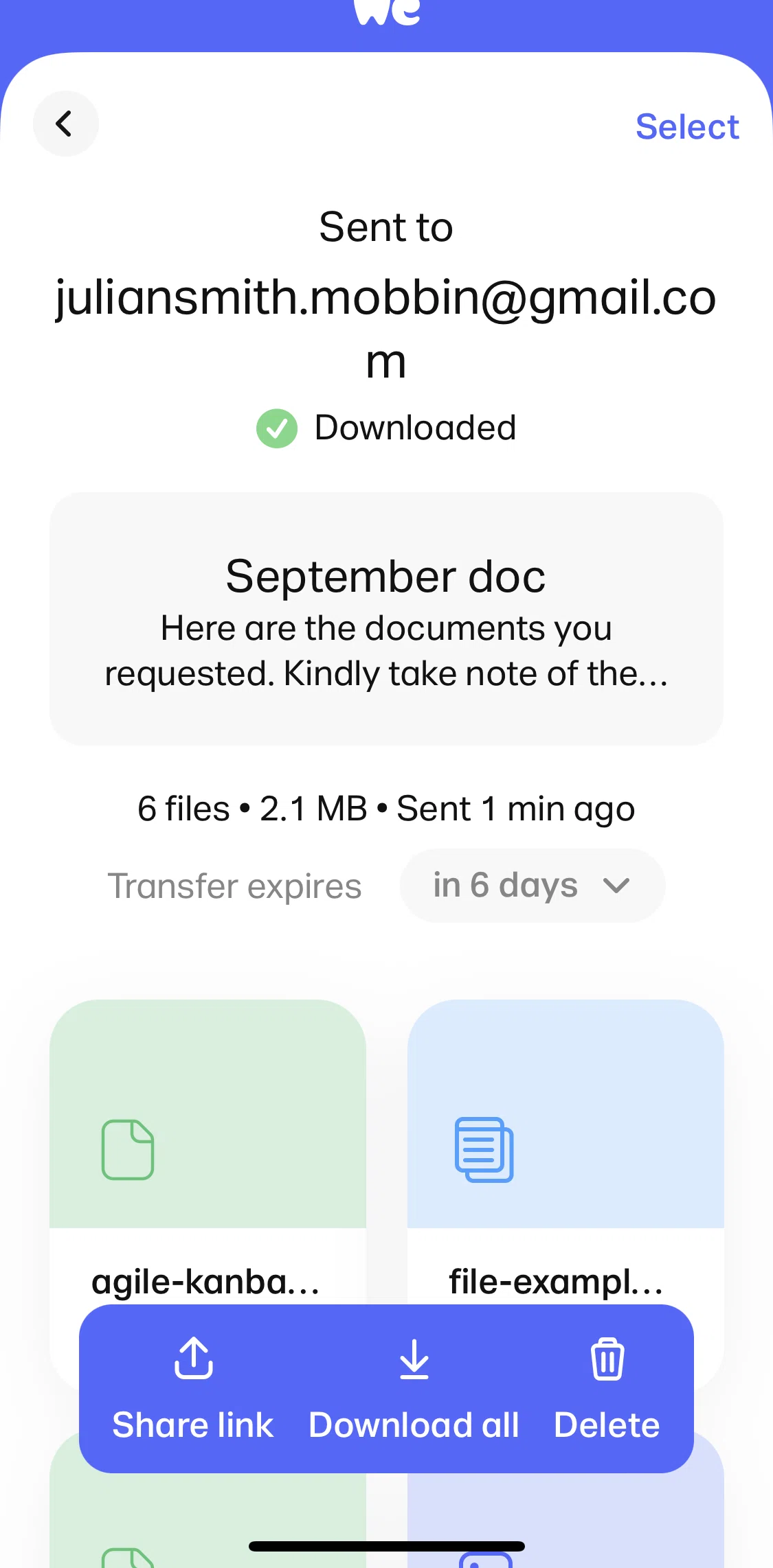 WeTransfer Screen screen in the Deleting transfer flow