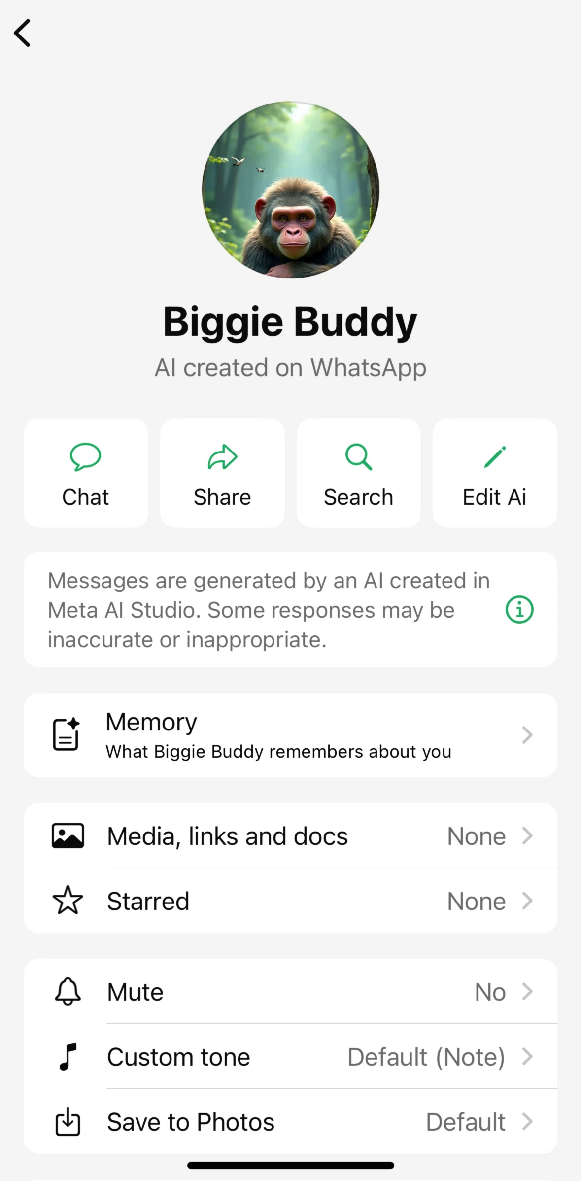 Whatsapp Screen screen in the Memory flow