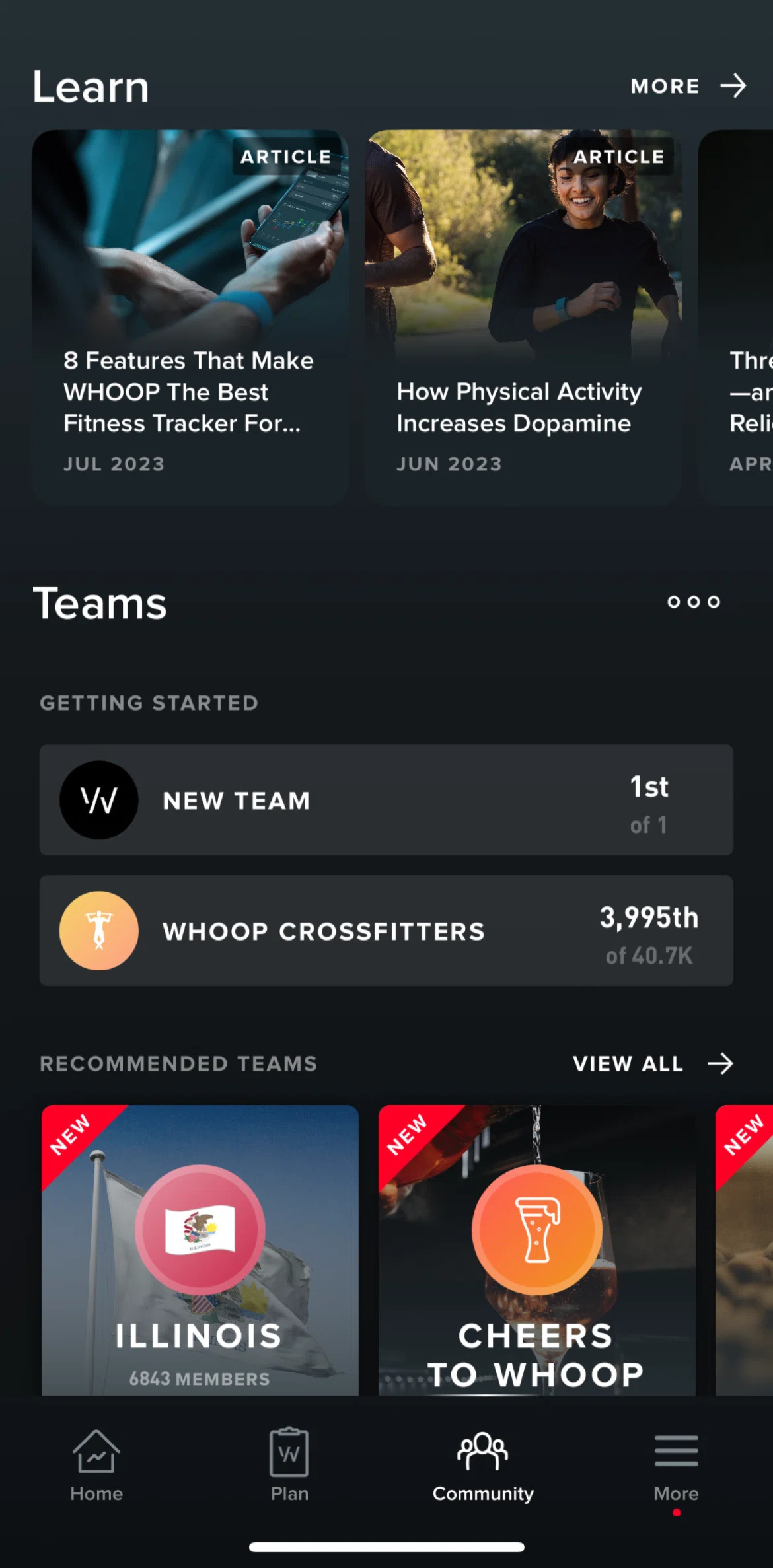 WHOOP Screen screen in the View article flow