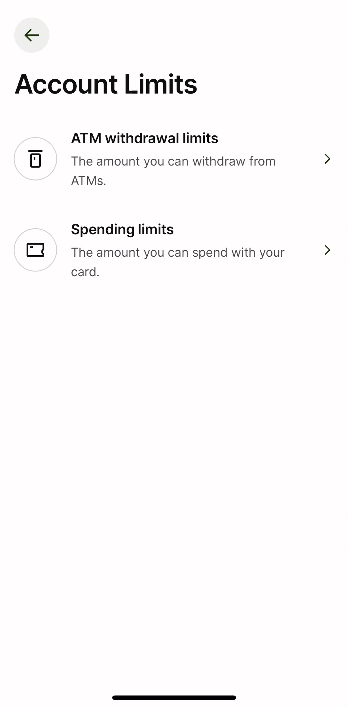 Wise Screen screen in the Changing spending limits flow