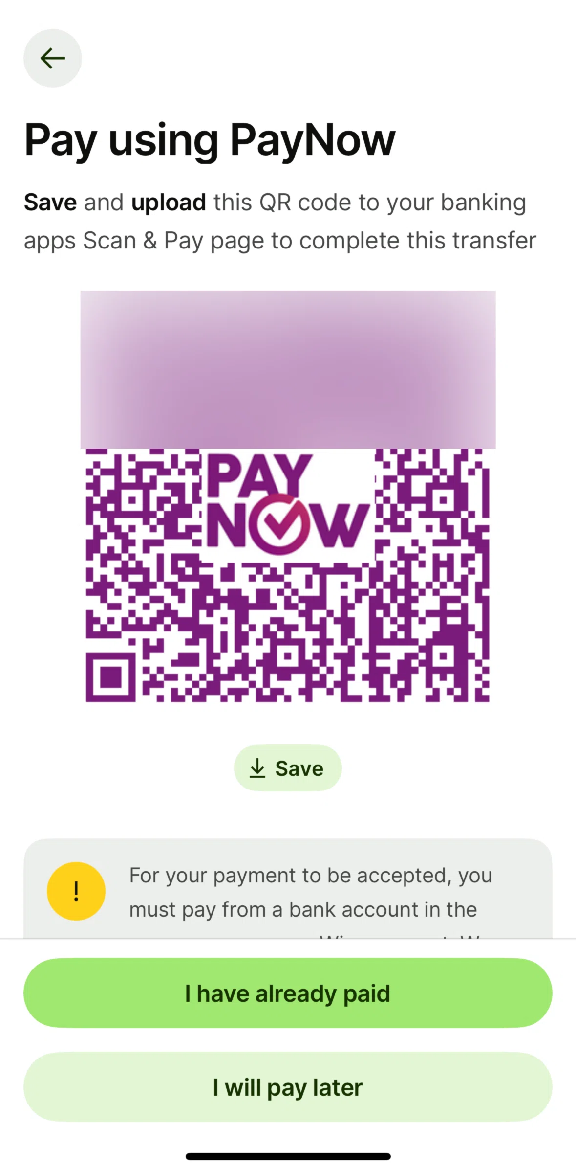 Wise Screen screen in the Pay later flow