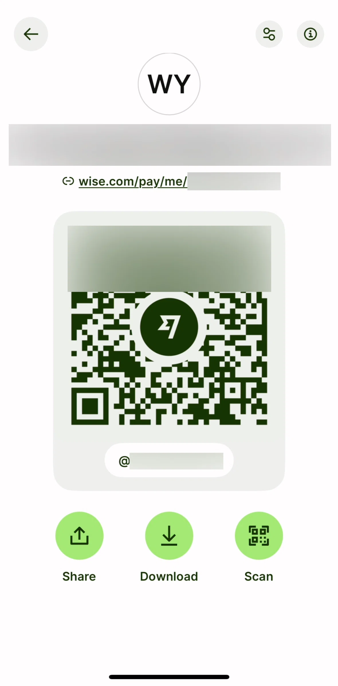 Wise Screen screen in the Scan QR code flow