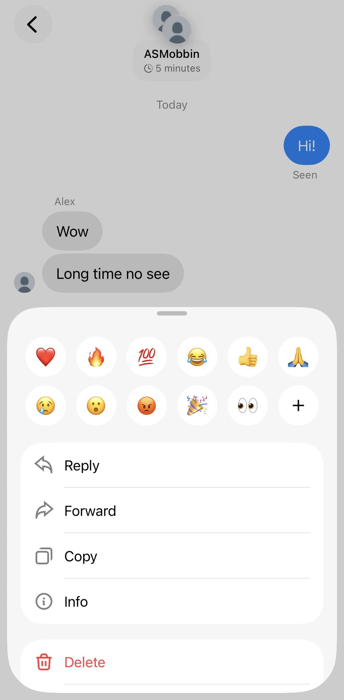 XChat Screen screen in the Message information flow