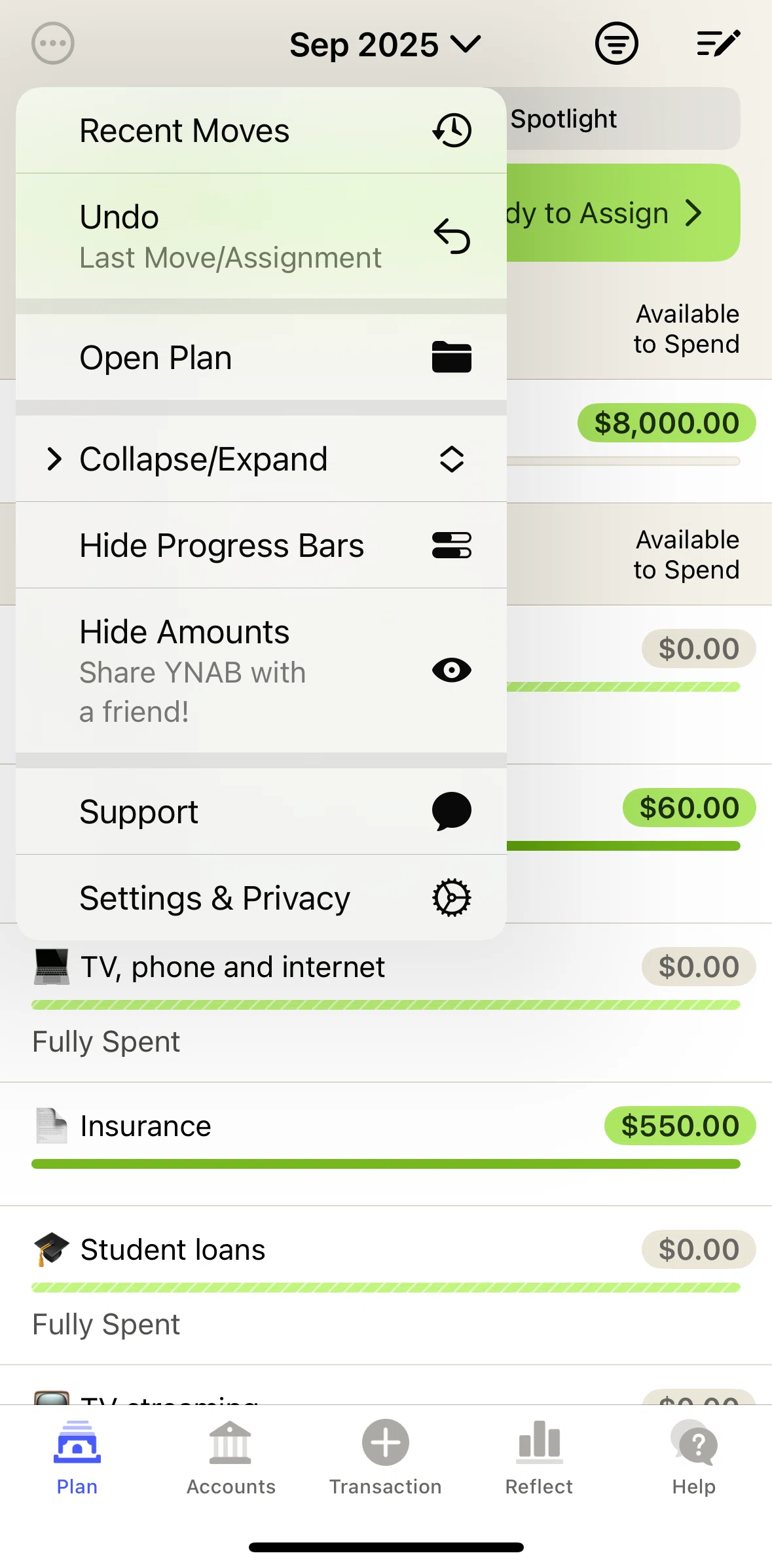 YNAB Screen screen in the Chat with support flow