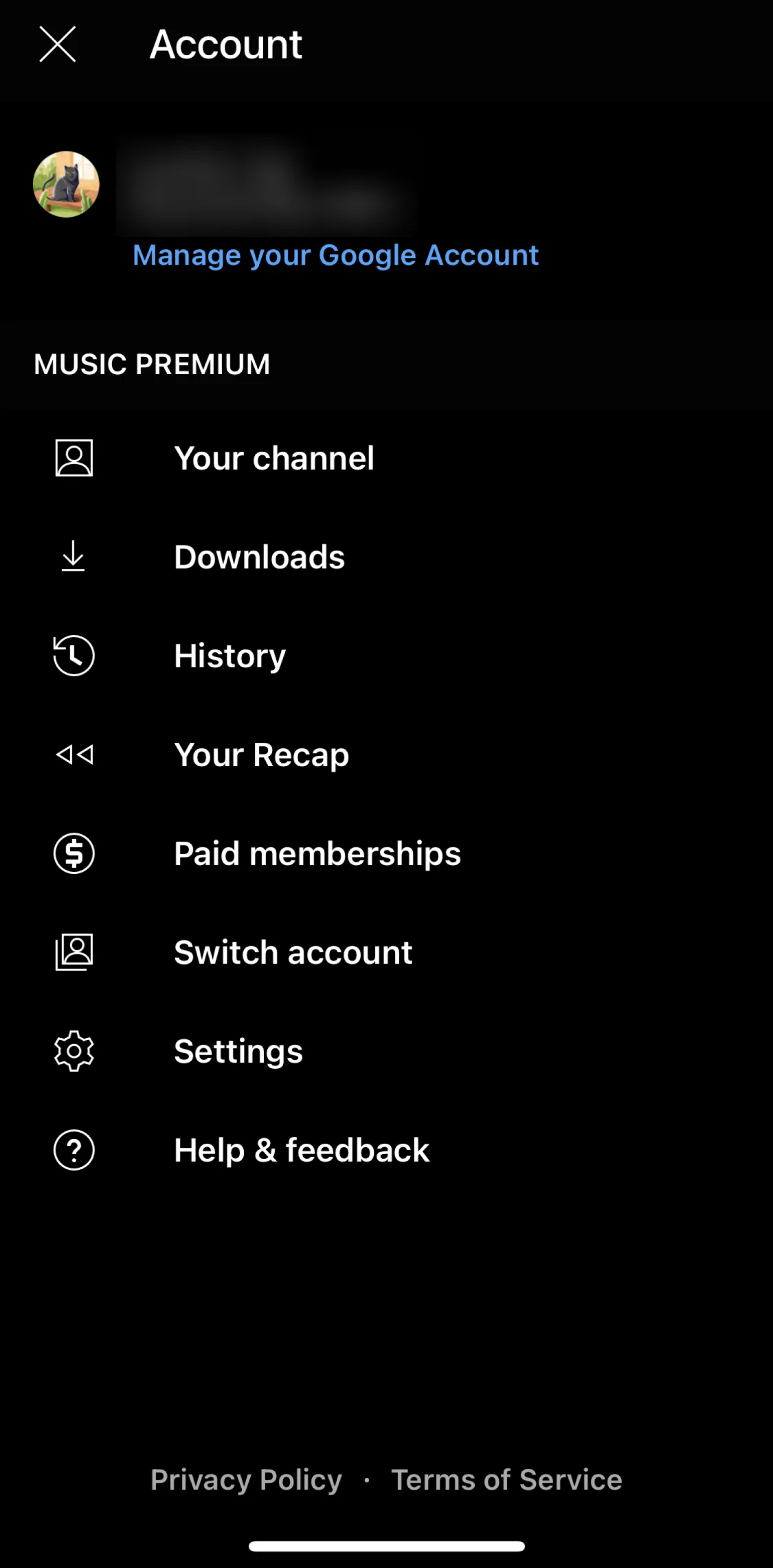 Youtube Music Screen screen in the Settings flow