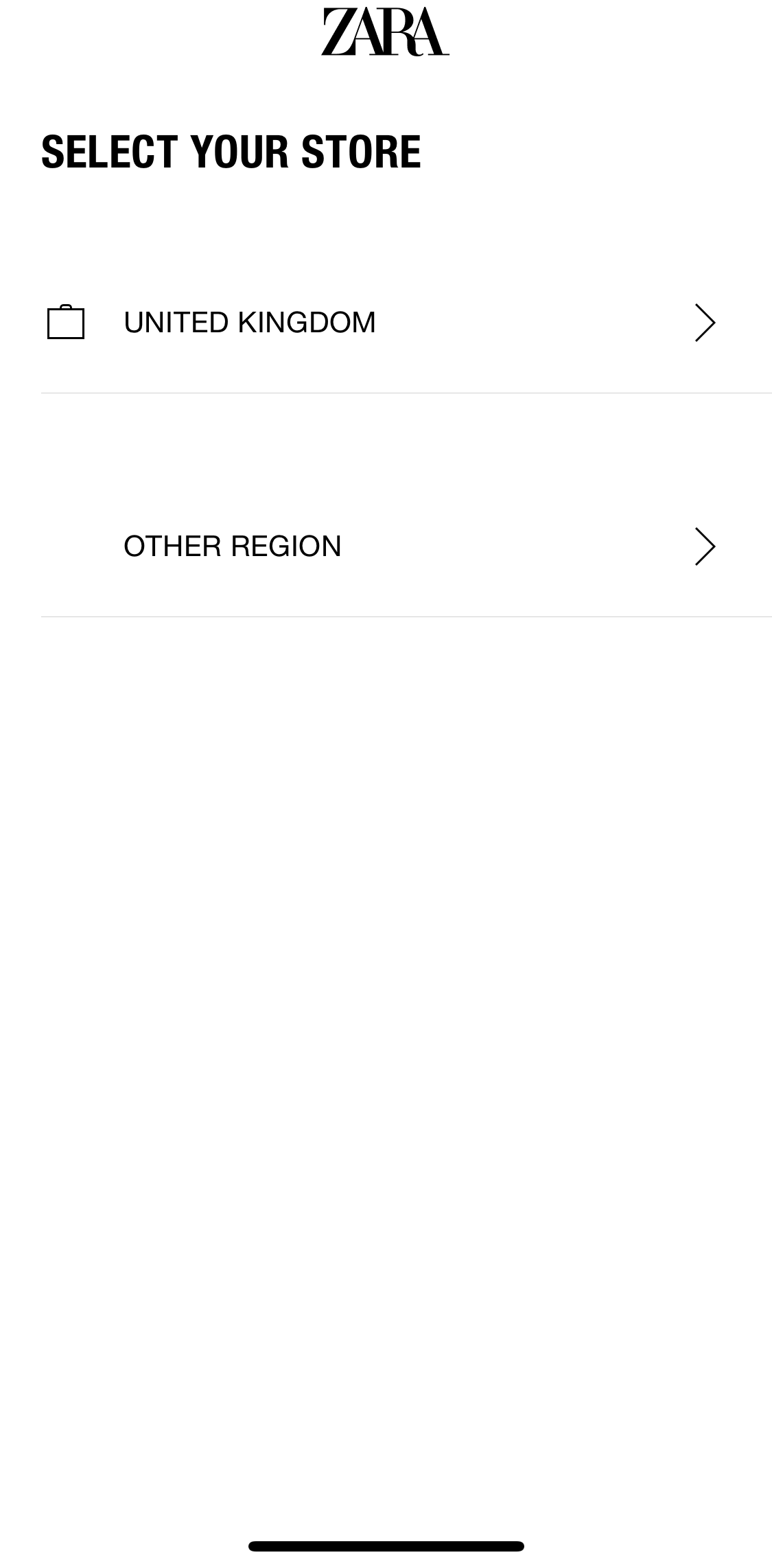 ZARA General Browsing preview